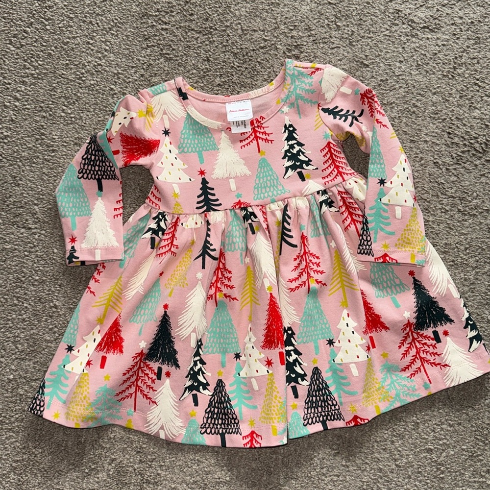 Hanna Andersson skater dress